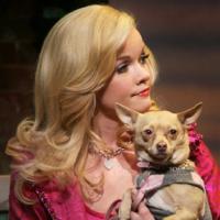 THE BLONDE AMBITION TOUR: Legally Blonde Sparkles With Infectious Joy (A Review) Video